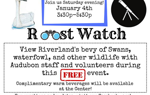 Roost Watch