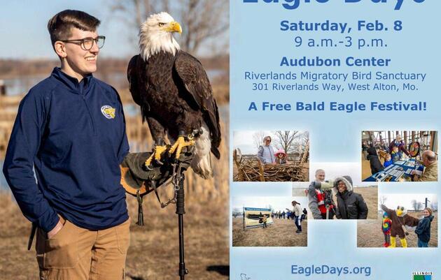 Eagle Days with MDC: February 8th