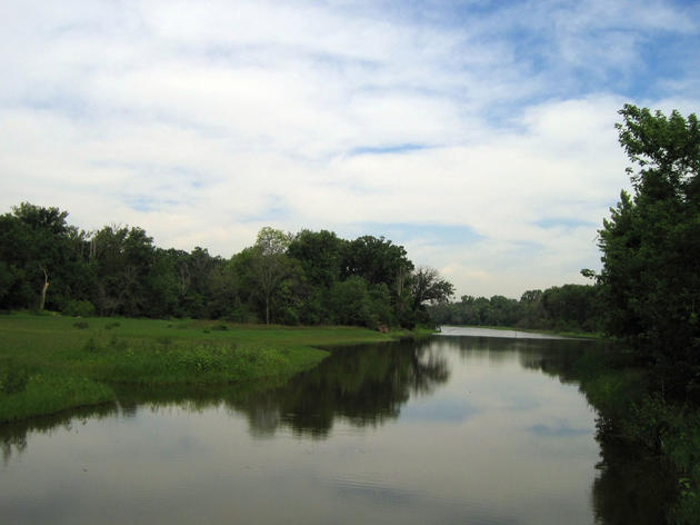 Bottomland Forest Avian Monitoring